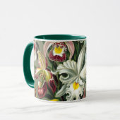 Ernst Haeckel Orchids,  regenwoudbloemen Mok (Voorkant links)