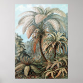  Ernst Haeckel Palm Trees Poster (Voorkant)