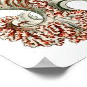 Ernst Haeckel Poster ~ Anthomedusae (Hoek)