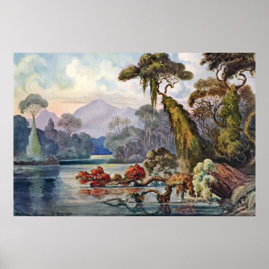 Ernst Haeckel - Poster de Kelani River (Devant)