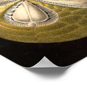 Ernst Haeckel - Poster Echinidea (Coin)