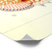 Ernst Haeckel - Poster Siphonophorae2 (Coin)