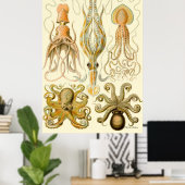 Ernst Haeckel Poster ~ Tafel (Thuiskantoor)