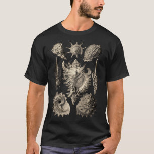 Ernst Haeckel Prosobranchia Sea Shells T-shirt