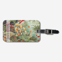 Ernst Haeckel  Retro Mushroom