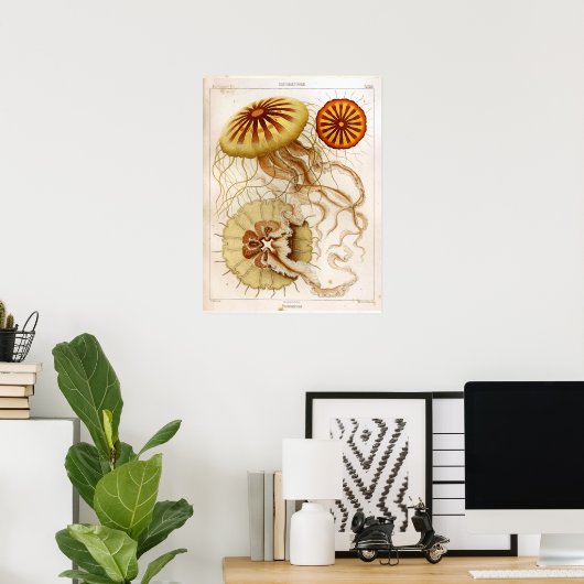 Ernst Haeckel SeaLife Ocean Jellyfish Art Print (Thuiskantoor)