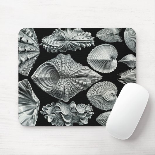 Ernst Haeckel  Shells Mousepad Muismat (Met muis)