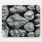 Ernst Haeckel  Shells Mousepad Muismat (Voorkant)