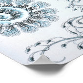 Ernst Haeckel Siphonophorae Jellyfish Blauwfles Poster (Hoek)