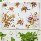 Ernst Haeckel Siphonophorae Jellyfish Theedoek (Gevouwen)