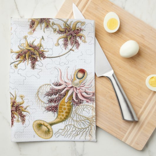 Ernst Haeckel Siphonophorae Jellyfish Theedoek (Quarter Fold)