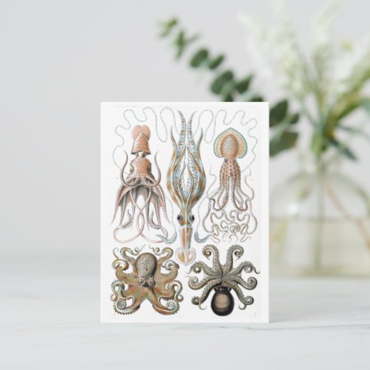  Ernst Haeckel Squids en Octopus Poster Briefkaart (Staand voorkant)