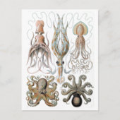  Ernst Haeckel Squids en Octopus Poster Briefkaart (Voorkant)