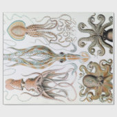 Ernst Haeckel Squids en Octopus Poster Cadeaupapier (Vlak)