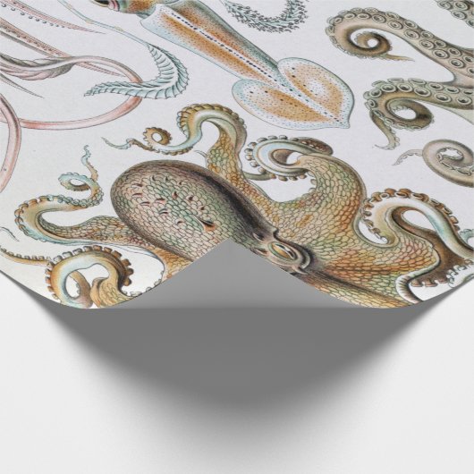 Ernst Haeckel Squids en Octopus Poster Cadeaupapier (Hoek)