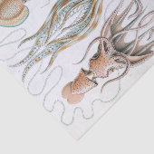Ernst Haeckel Squids en Octopus Poster Tissuepapier (Detail)