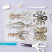 Ernst Haeckel Squids en Octopus Poster Tissuepapier (Craft)