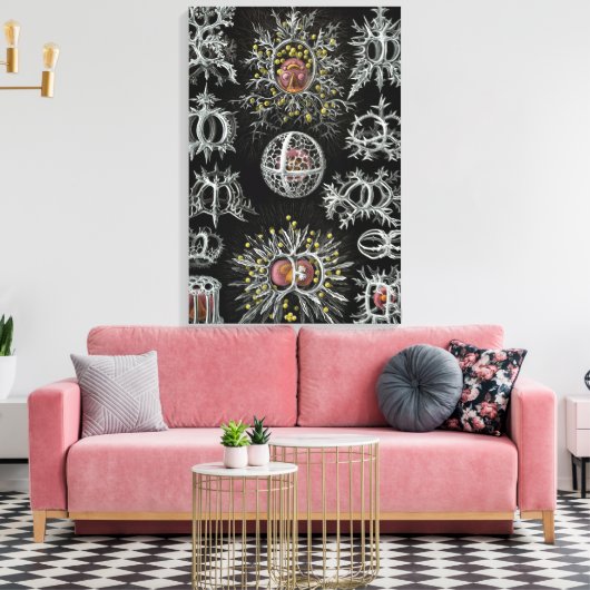 Ernst Haeckel Stephoidea Canvas Afdruk (Insitu (Woonkamer))