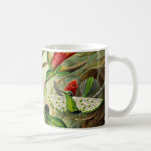 Ernst Haeckel Trochilidae Hummingbird Koffiemok