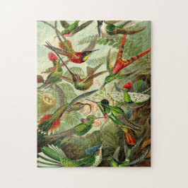 Ernst Haeckel Trochilidae Hummingbird Legpuzzel