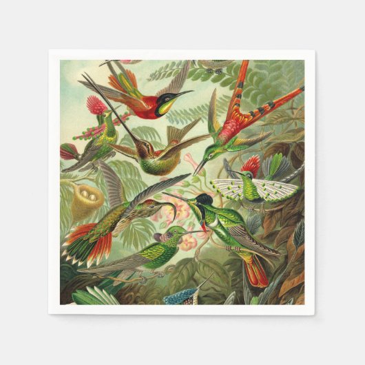 Ernst Haeckel Trochilidae Hummingbird Servet (Voorkant)