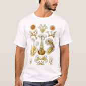 Ernst Haeckel - Tshirt Bryozoa (Devant)