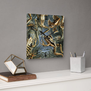 Ernst Haeckel variëteit exotische kikkers:Batrach Vierkante Klok