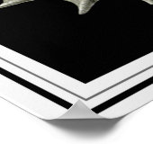 Ernst Haeckel Wall Art 16 x 20 Poster (Hoek)