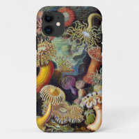 Ernst Haeckel Zee anemones