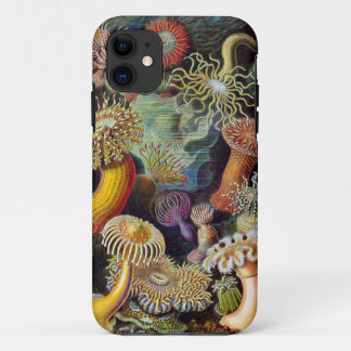 Ernst Haeckel Zee anemones iPhone 11 Hoesje