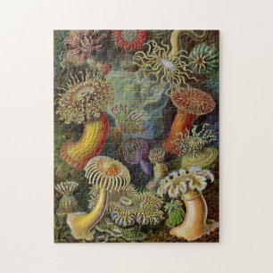 Ernst Haeckel Zee Anemones Legpuzzel