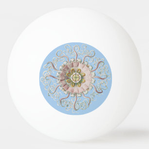 Ernst Haeckel Zee Roze kwal Medusa Pingpongballen