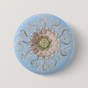 Ernst Haeckel Zee Roze kwal Medusa Ronde Button 5,7 Cm