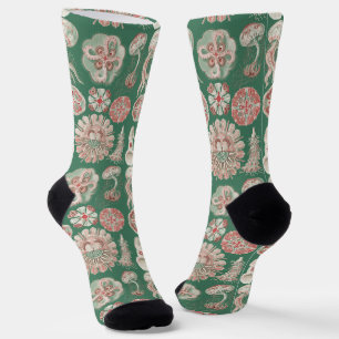 Ernst Haeckel Zeeleven Roze Kwallen Groene Poster Sokken