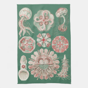 Ernst Haeckel Zeeleven Roze Kwallen Groene Poster Theedoek