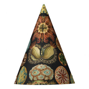 Ernst Haeckel Zeevaart Zeeleven Art Collage Feesthoedjes
