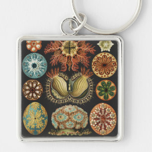 Ernst Haeckel Zeevaart Zeeleven Collage Sleutelhanger