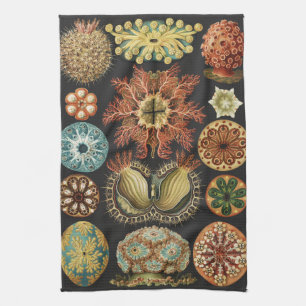 Ernst Haeckel Zeevaart Zeeleven Collage Theedoek