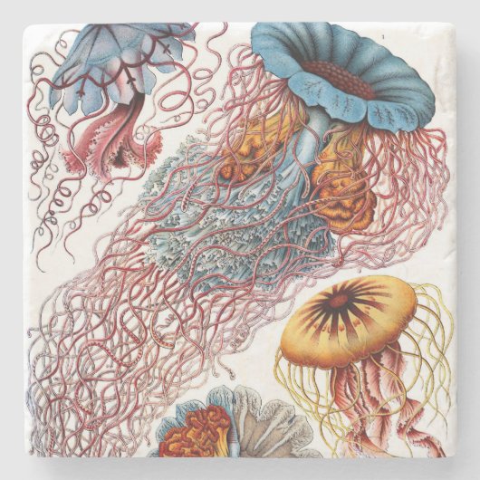 Ernst Haeckel's Discomedusae Stenen Onderzetter (Voorkant)