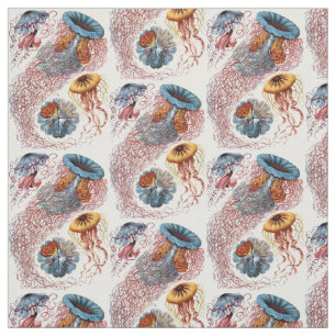 Ernst Haeckel's Discomedusae Stof