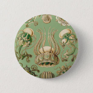 Ernst Haeckel's Narcomedusae Ronde Button 5,7 Cm