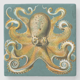 Ernst Haeckel's Octopus Stenen Onderzetter
