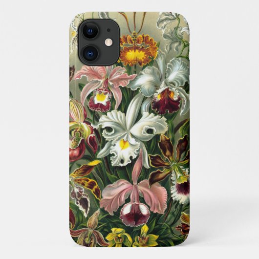 Ernst Haeckel's Orchidaceae Coque-Mate coque iphon (Dos)