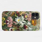 Ernst Haeckel's Orchidaceae Coque-Mate coque iphon (Dos (Horizontal))