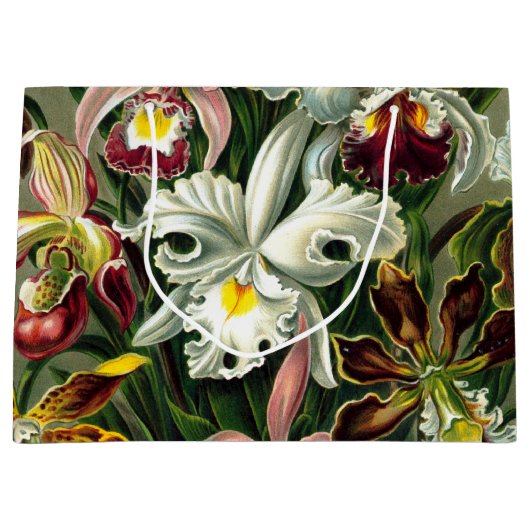 Ernst Haeckel's Orchidaceae Large Gift Bag Groot Cadeauzakje (Voorkant)