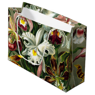 Ernst Haeckel's Orchidaceae Large Gift Bag Groot Cadeauzakje
