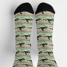 Ernst Ludwig Kirch Mountain Lake Landschapskunst Sokken