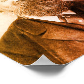 Ernst Mach Poster (Hoek)