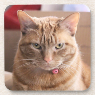 Ernstig Bier Onderzetter