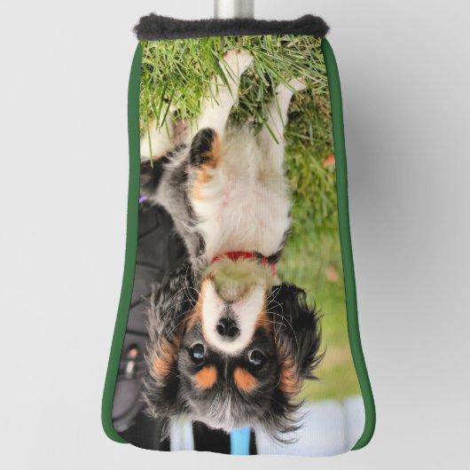 Ernstig Golfheadcover (Draai 90)